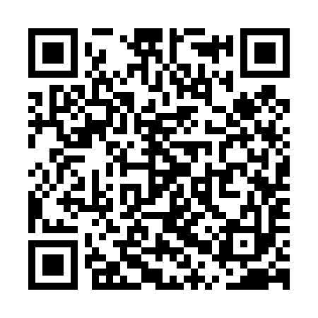 QR code for UPS493