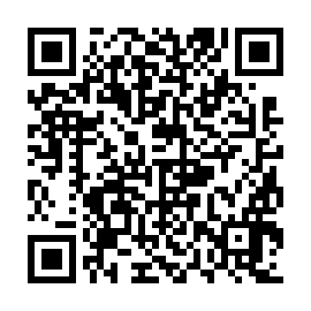QR code for UPS696