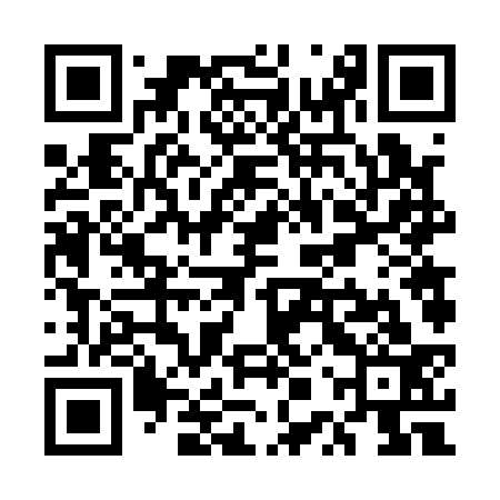QR code for UPV133