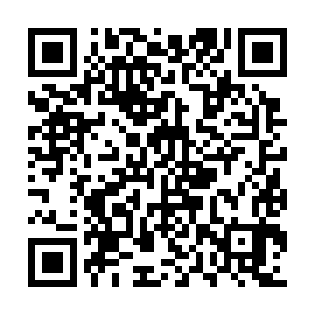 QR code for UPV383