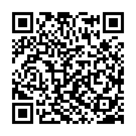 QR code for UPX938