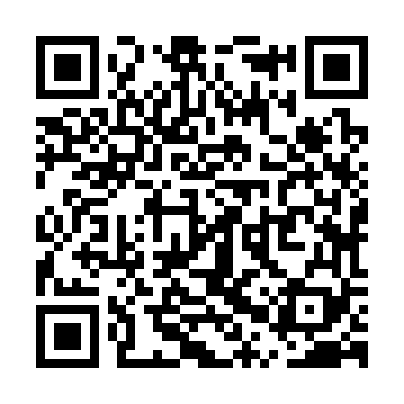QR code for UPZ369