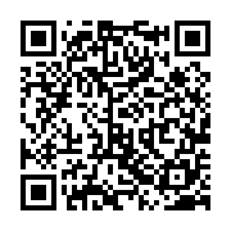 QR code for URL155
