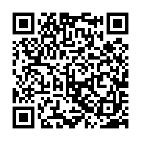QR code for URL593
