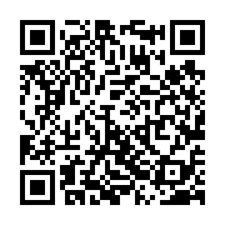 QR code for URL619