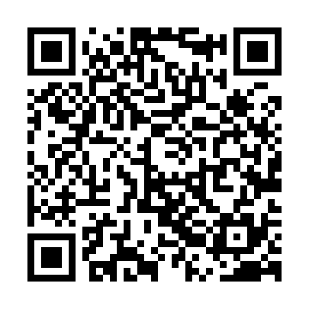 QR code for URL935
