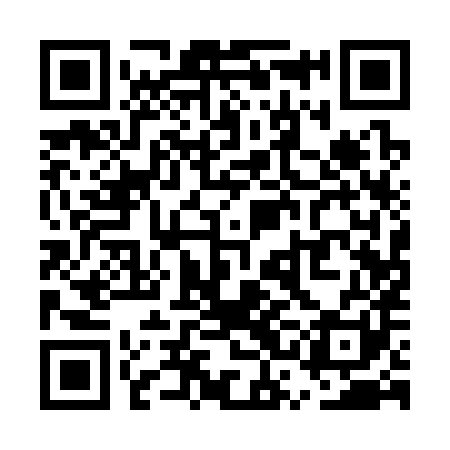 QR code for USA381