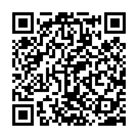 QR code for USD419