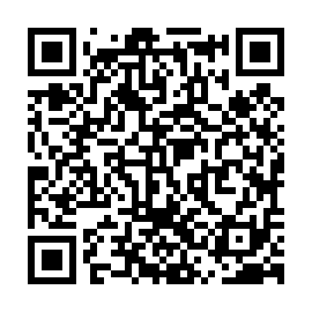 QR code for USJ411
