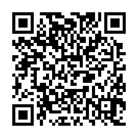 QR code for UTV384