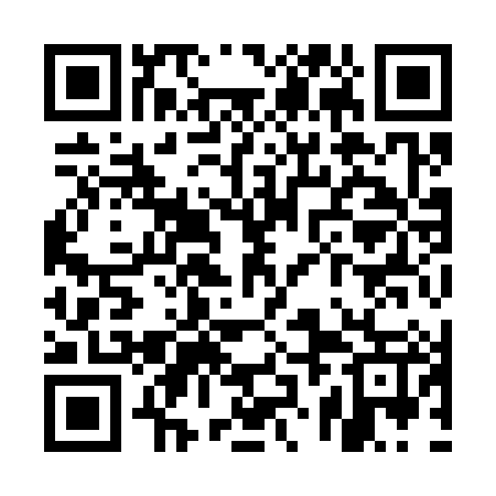 QR code for UZI387