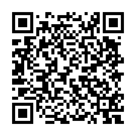 QR code for UZI411