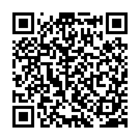QR code for VAG241