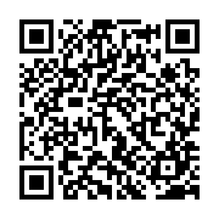 QR code for VAO384
