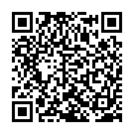QR code for VBS313