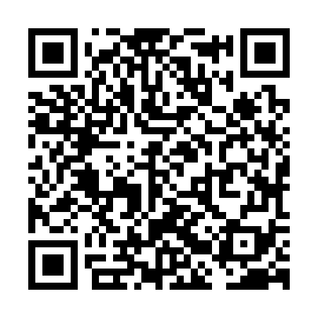 QR code for VBZ379