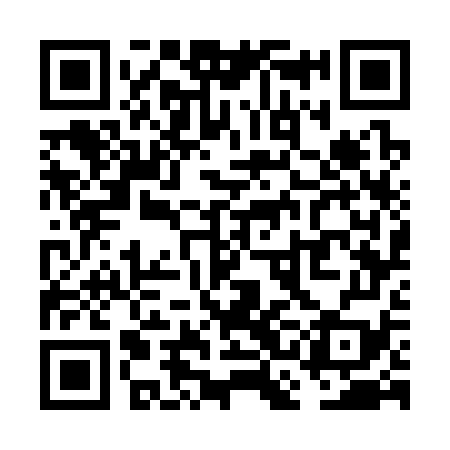 QR code for VCG379