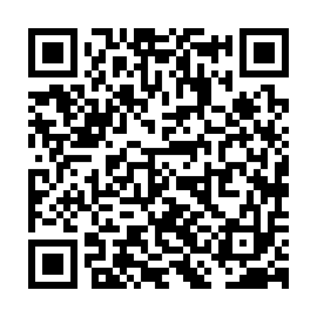 QR code for VCH313