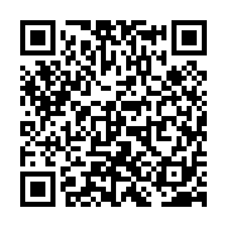 QR code for VCI011