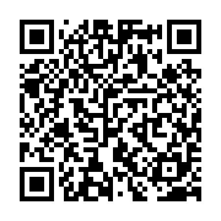QR code for VCU295