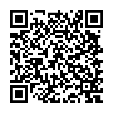 QR code for VCU493