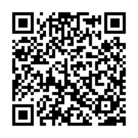 QR code for VDB225