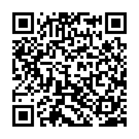 QR code for VDD335