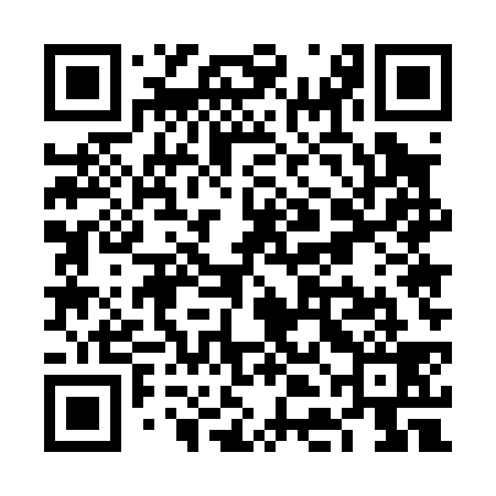 QR code for VDE039