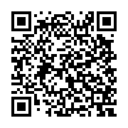 QR code for VDG004
