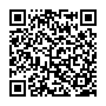 QR code for VDG345