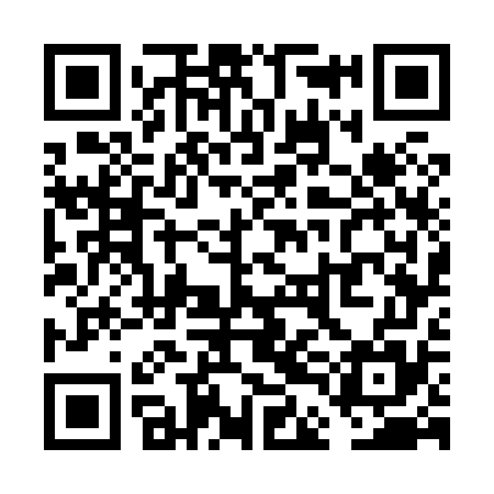 QR code for VDG875