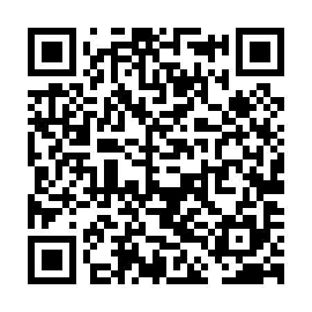 QR code for VDL095