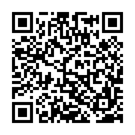 QR code for VDL096
