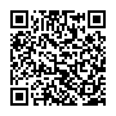 QR code for VDL310