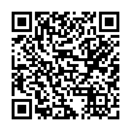 QR code for VDM381