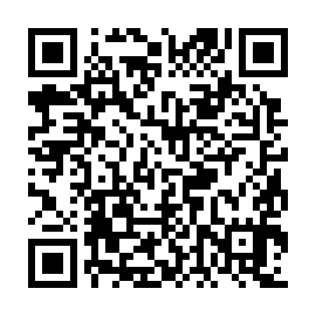 QR code for VDS395