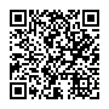 QR code for VDV539