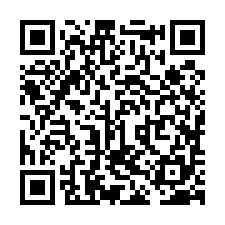 QR code for VDZ595