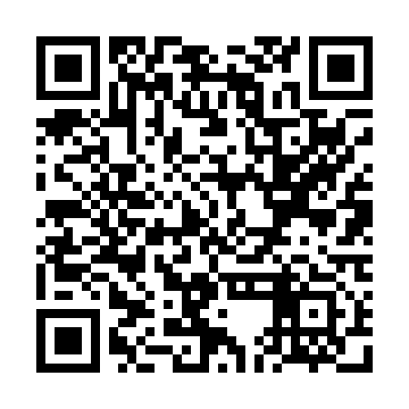 QR code for VEF013