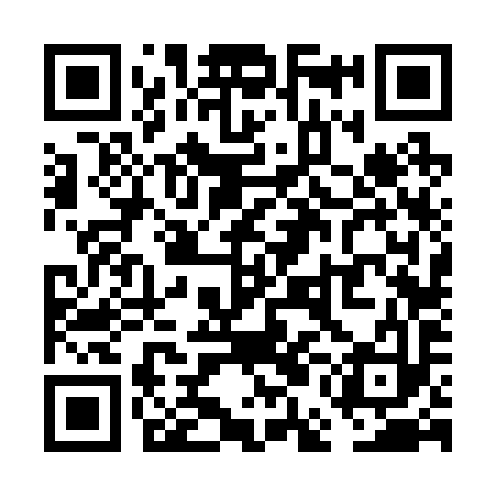 QR code for VEF293
