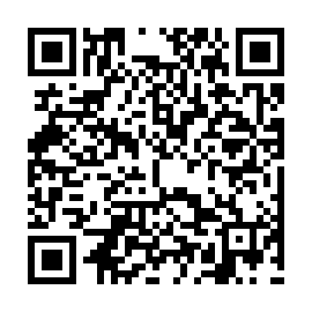 QR code for VEF384