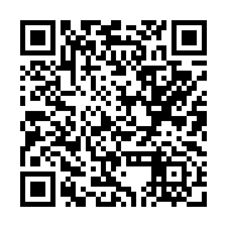 QR code for VEH493