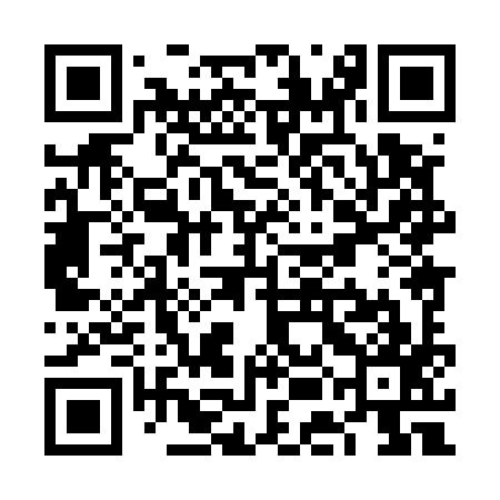 QR code for VEH597