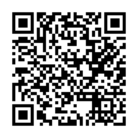QR code for VEI123