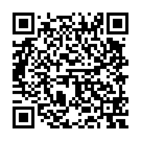 QR code for VEI498