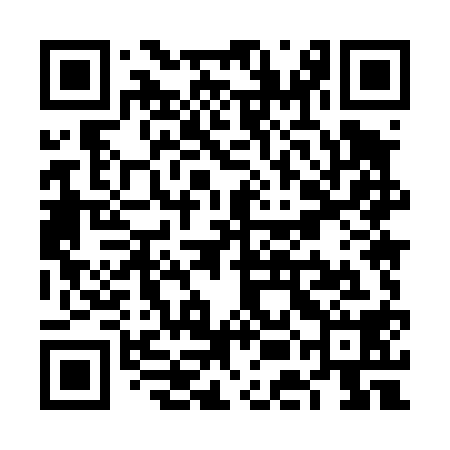 QR code for VEM418