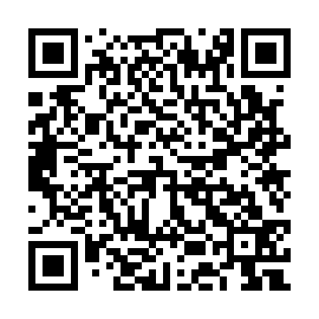 QR code for VEO133