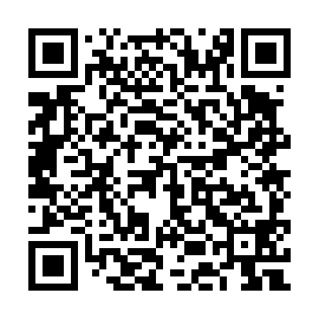 QR code for VEO498