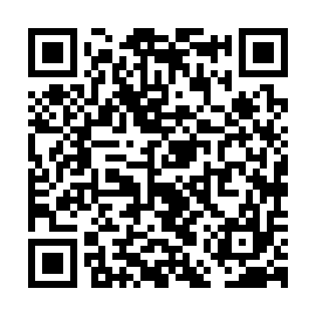 QR code for VEX317