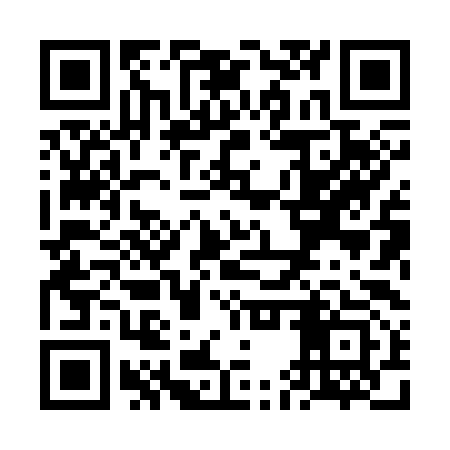 QR code for VEX393